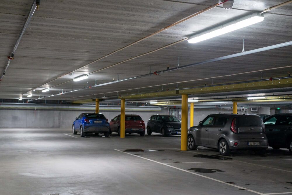 benterud skole 65 tyfon 2